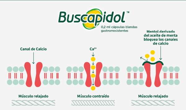 Buscapidol